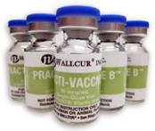 PRACTI-VACCNE B